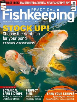 cover image of Practical Fishkeeping